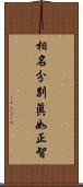 相名分別眞如正智 Scroll