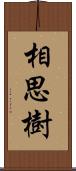 相思樹 Scroll