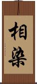 相染 Scroll