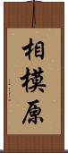 相模原 Scroll