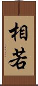 相若 Scroll