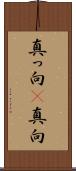 真っ向(P) Scroll