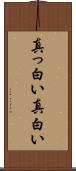 真っ白い Scroll