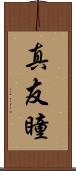 真友瞳 Scroll