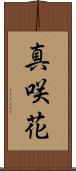 真咲花 Scroll