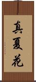 真夏花 Scroll