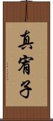 真宥子 Scroll