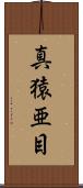 真猿亜目 Scroll