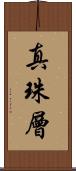 真珠層 Scroll