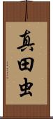 真田虫 Scroll