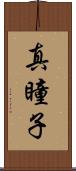 真瞳子 Scroll