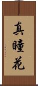 真瞳花 Scroll