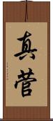 真菅 Scroll