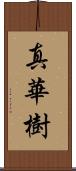 真華樹 Scroll