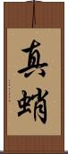 真蛸 Scroll