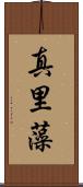 真里藻 Scroll