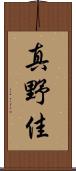 真野佳 Scroll