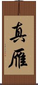 真雁 Scroll