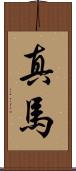 真馬 Scroll