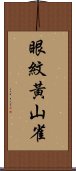 眼紋黃山雀 Scroll