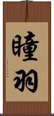 瞳羽 Scroll