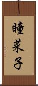 瞳菜子 Scroll