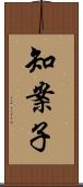 知案子 Scroll