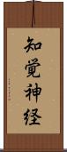 知覚神経 Scroll