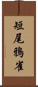 短尾鴉雀 Scroll