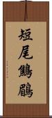 短尾鷦鶥 Scroll