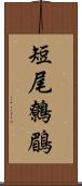 短尾鷯鶥 Scroll