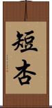 短杏 Scroll