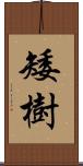 矮樹 Scroll