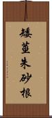 矮莖朱砂根 Scroll