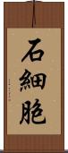 石細胞 Scroll