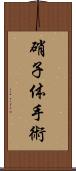 硝子体手術 Scroll
