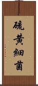 硫黄細菌 Scroll