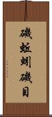 磯蚯蚓 Scroll