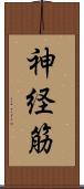 神経筋 Scroll