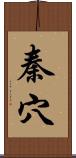 秦穴 Scroll