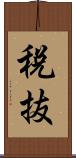 税抜 Scroll