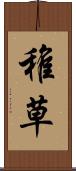 稚草 Scroll