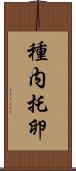 種内托卵 Scroll