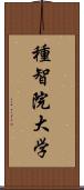 種智院大学 Scroll