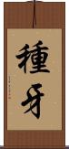 種牙 Scroll