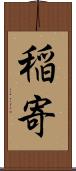 稲寄 Scroll