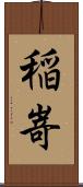 稲嵜 Scroll