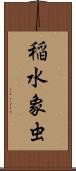 稲水象虫 Scroll