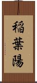 稲葉陽 Scroll