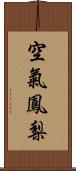空氣鳳梨 Scroll